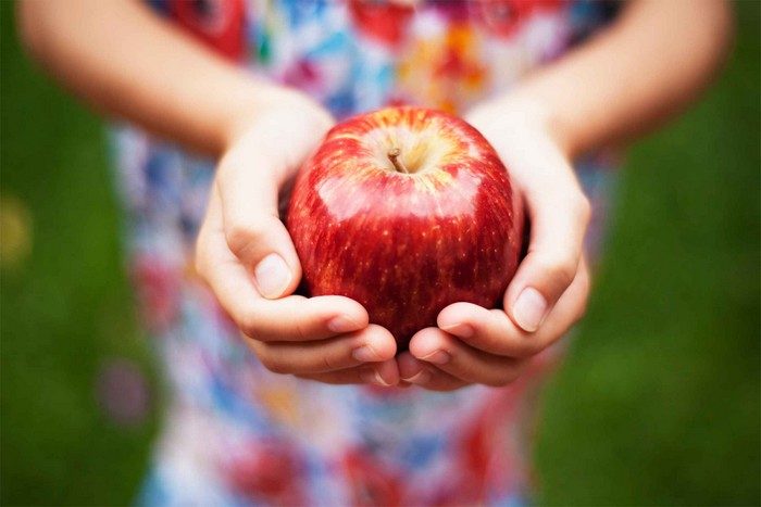 Обычные яблоки и их невероятная польза