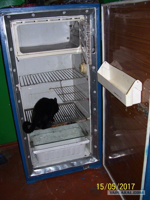 Как произвести косметический ремонт старого холодильника
