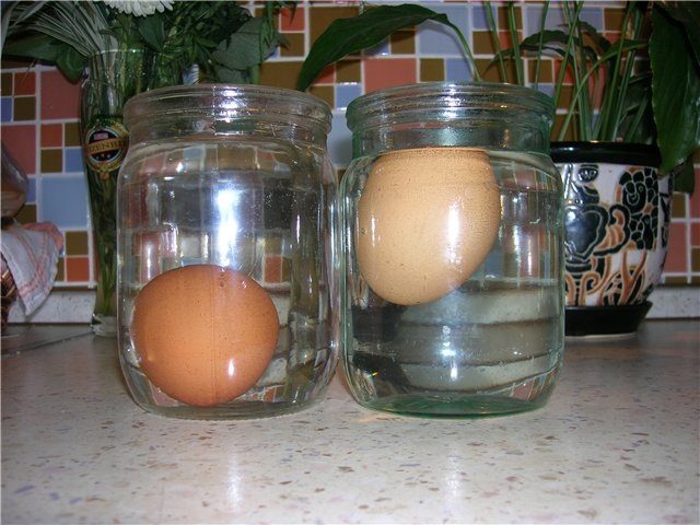 Проверяем яйца