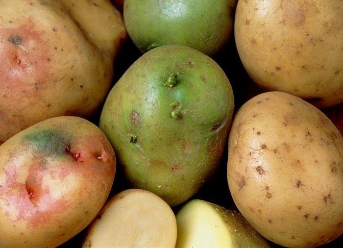 Несколько советов, которые помогут правильно выбрать молодой картофель