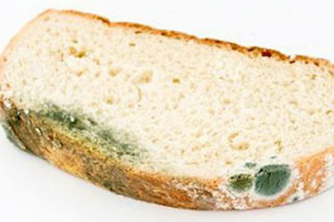 Хлеб с плесенью: обрезать и съесть или выбросить целиком?
