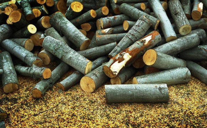 Как выбрать лучшие дрова в мире