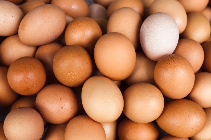 Миф или правда: можно ли есть яйца с красным пятном на желтке?