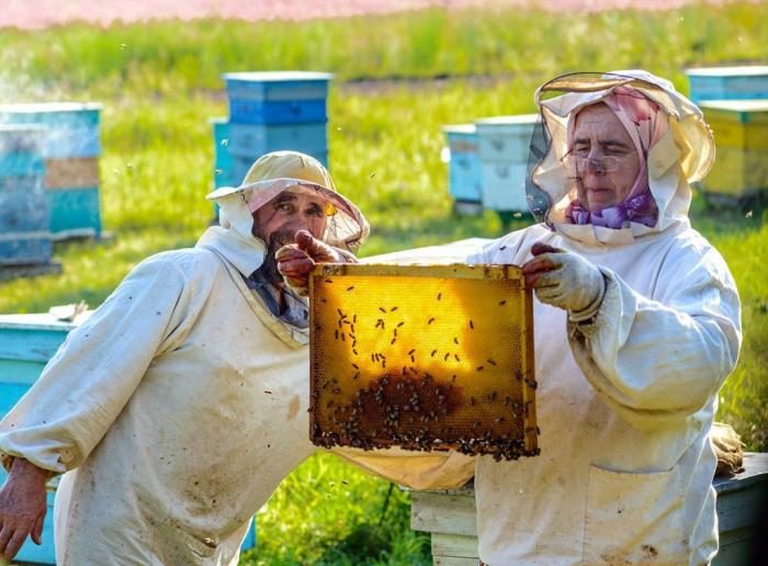 Вопрос на засыпку: засахаривается ли натуральный мёд при хранении?