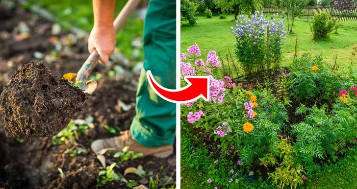 5 уникальных свойств соды, которые позволят преобразить ваш сад