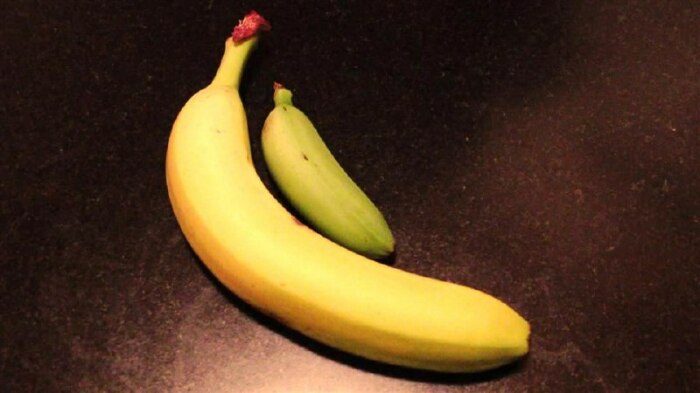 4 требования к идеальному банану