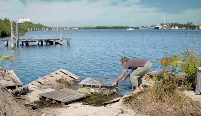 Британский художник смастерил из пластиковой тары собственный остров