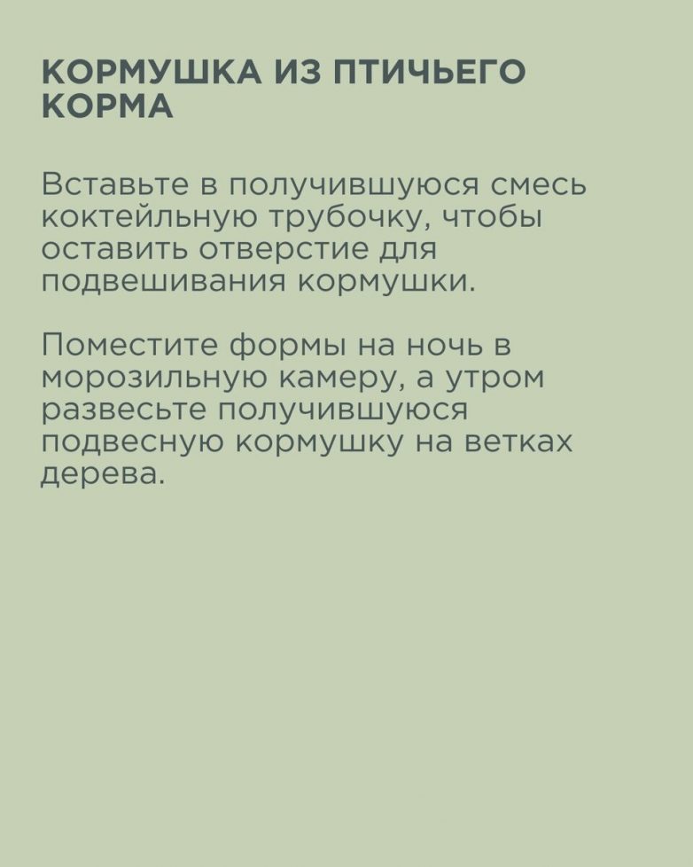 Как изготовить кормушку для птиц своими руками