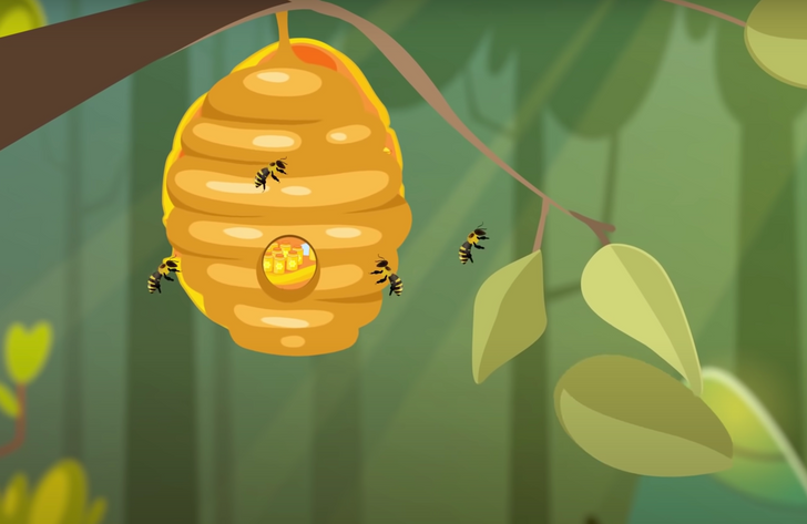 Укус пчелиной матки опаснее укуса обычной пчелы — правда или миф?