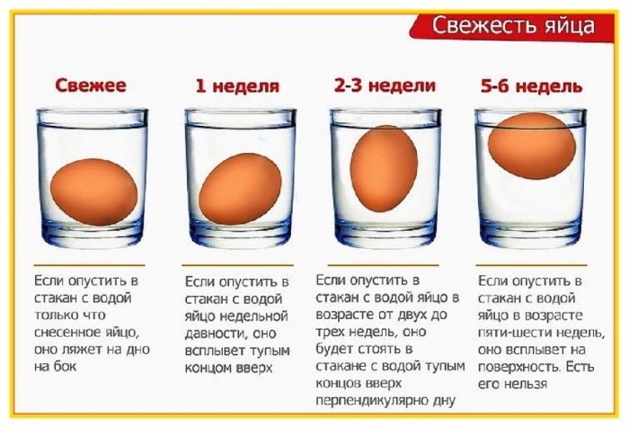 2 проверенных способа определить свежесть куриных яиц