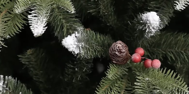 Как выбрать идеальную новогоднюю ёлку