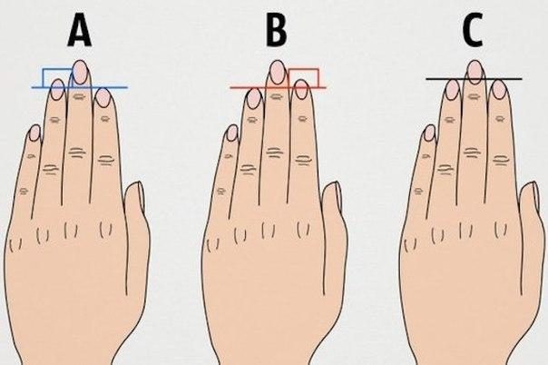 Тест: определяем характер по длине пальцев
