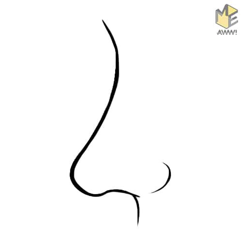 Что может сказать о характере человека форма его носа?