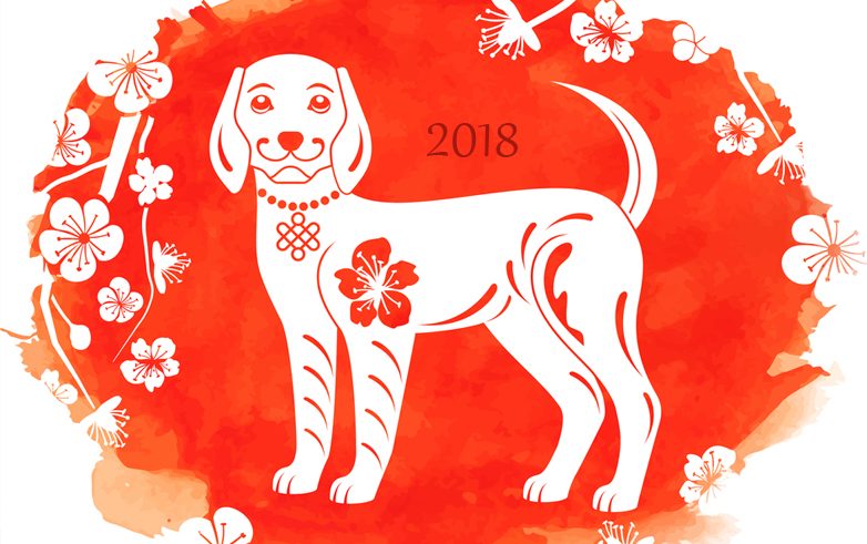 Напутствия для всех знаков зодиаков год земляной (жёлтой) собаки на 2018 год