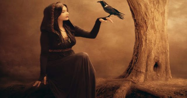 Почему ворона - важный символ для всех белых ведьм?