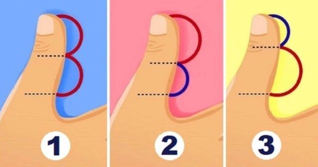 Что длина вашего большого пальца может рассказать о вашем темпераменте?