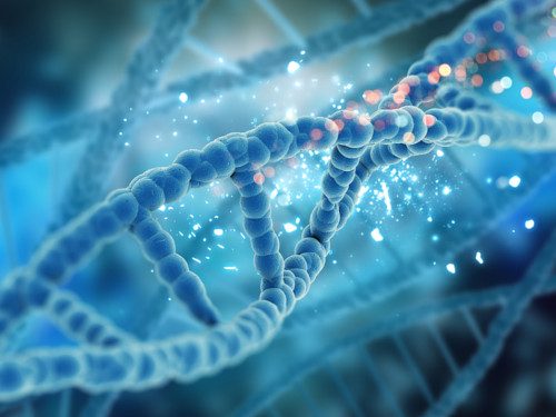 Генетический код: возможно ли его изменить силой мысли?