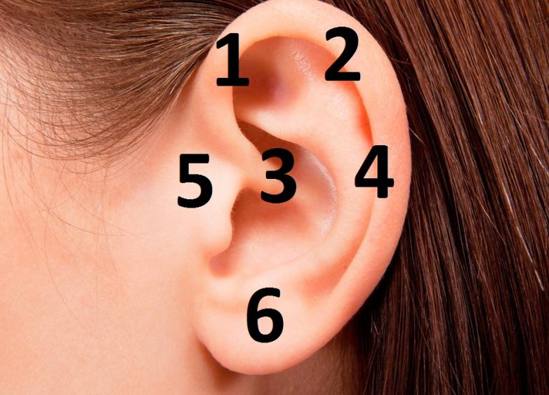 Акупунктурные области на ушах, отвечающие за здоровье