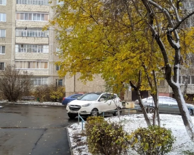 Эта древняя примета расскажет, какой будет зима