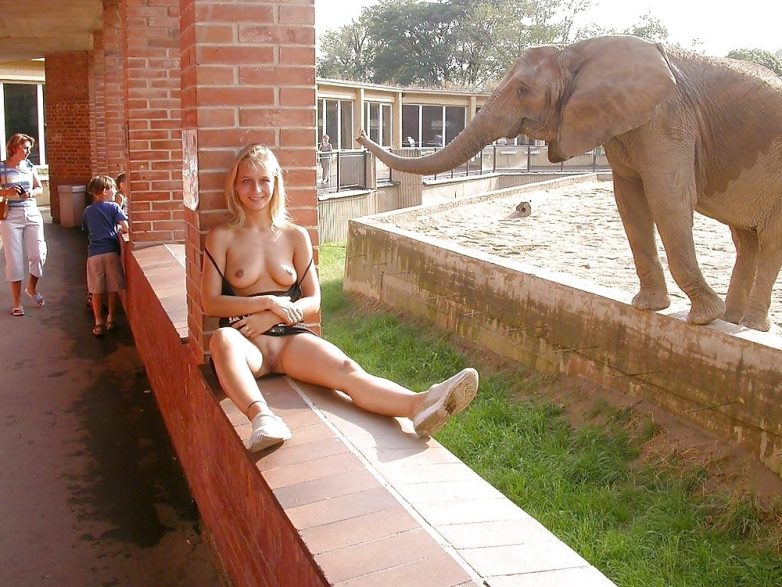 Elephant Fucks A Woman Porn - Elephant fucking with naked women Â» Hot Nude Girls