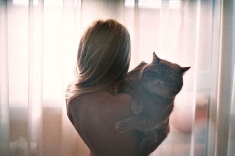 Красавицы и котики