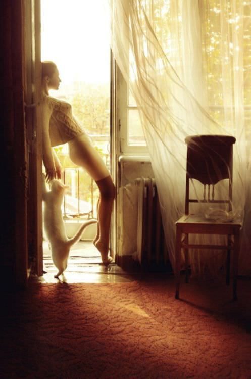 Красавицы и котики