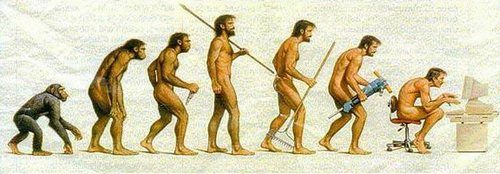 Религия и теория эволюции