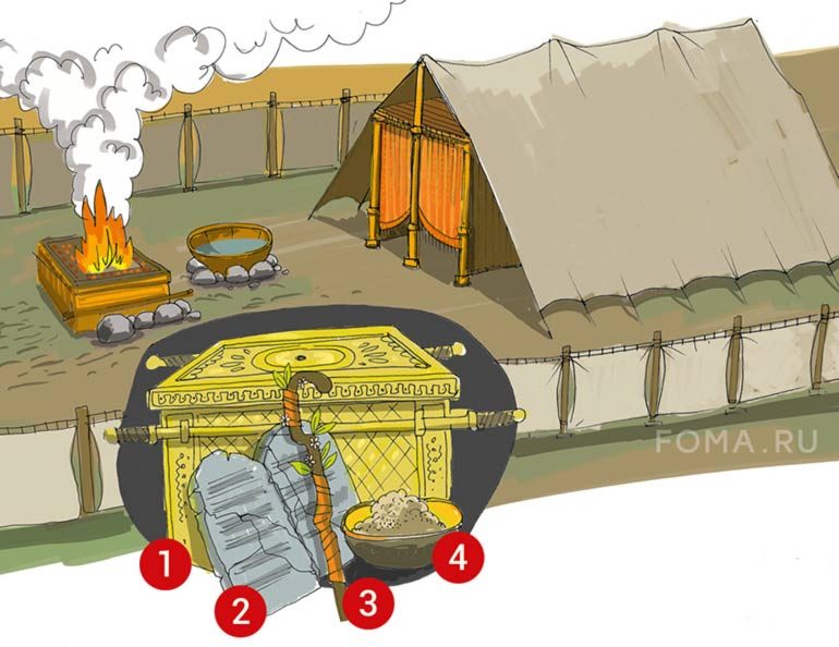 Устройство скинии моисея пошагово картинки