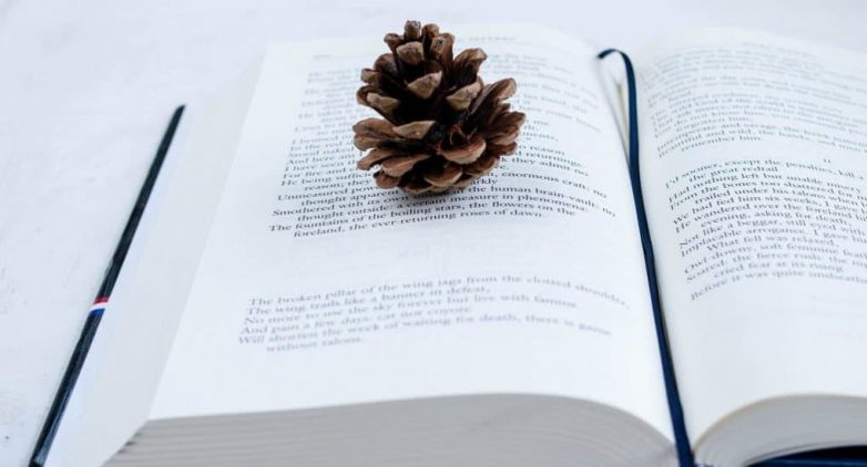Что почитать в рождественские каникулы?