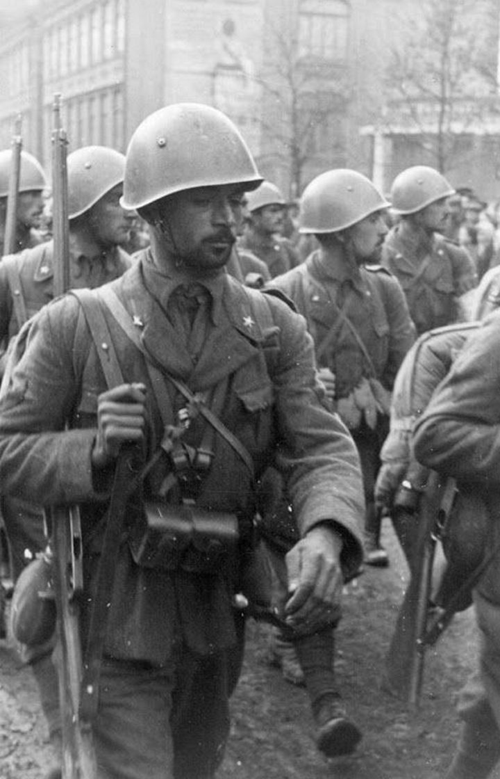 «Итальянцы – трусы, русские – молодцы»: как немцы отзывались о своих врагах и союзниках?