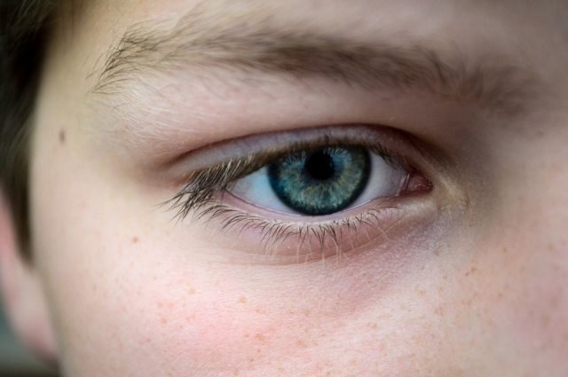 В России детей с нарушениями зрения начнут обеспечивать брайлевскими дисплеями