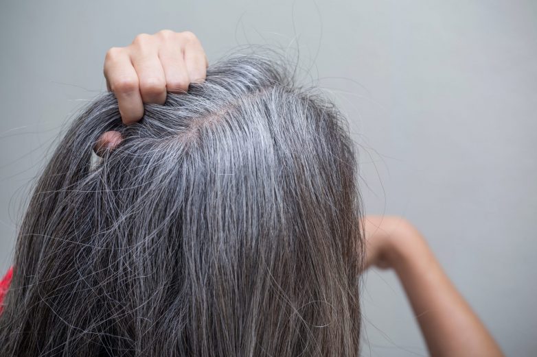 Стоит ли вырывать седые волосы и не опасно ли это?