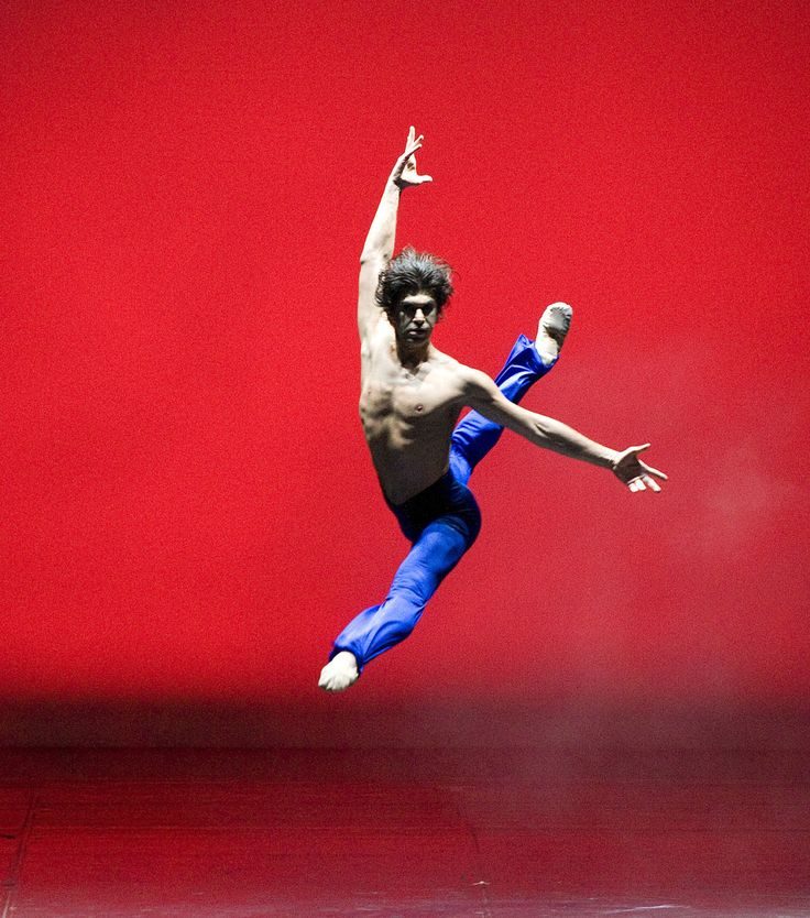 Николай Цискаридзе рассказал, почему у него нет ни жены, ни детей