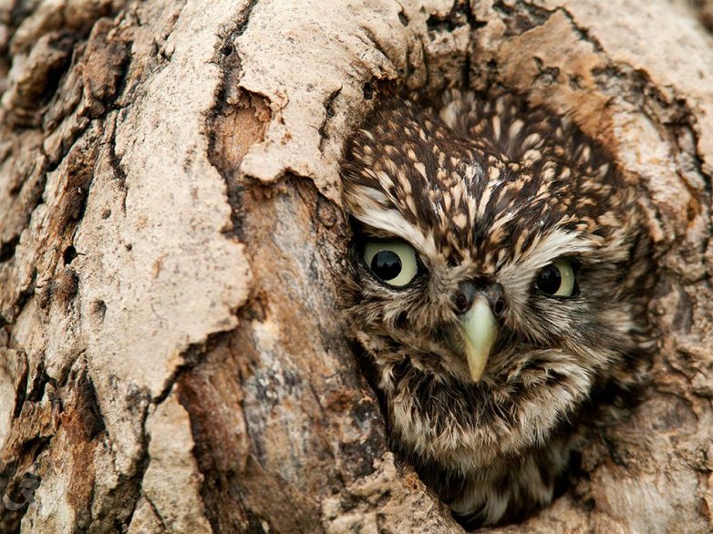 National Geographic: лучшие фотографии сентября