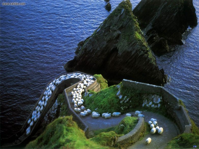 Хочу в Ирландию
