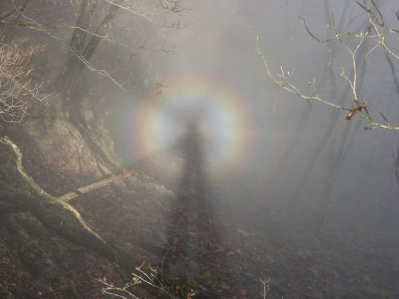 25 ошеломляющих оптических иллюзий, созданных природой