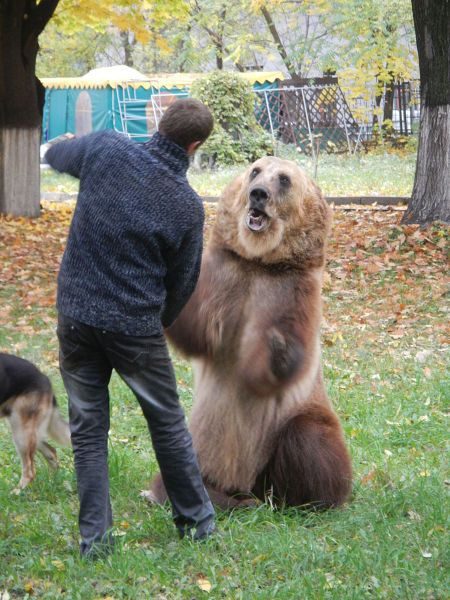 А что вы хотите, это Россия