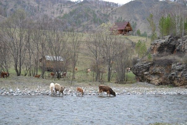 Удивительная Россия