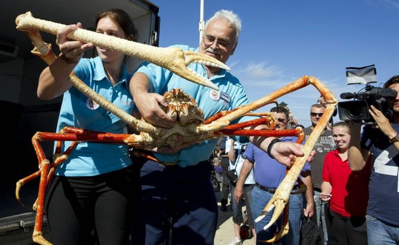 Самые странные находки, поднятые с морского дна