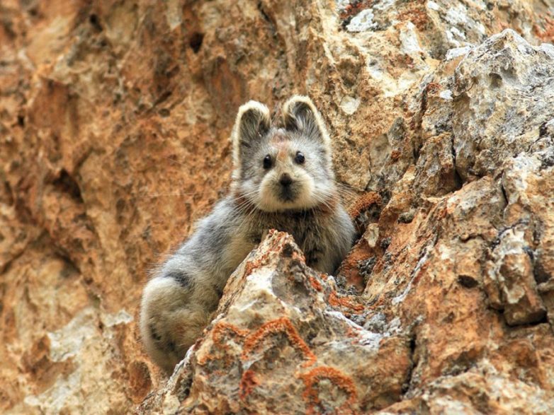 25 лучших снимков National Geographic