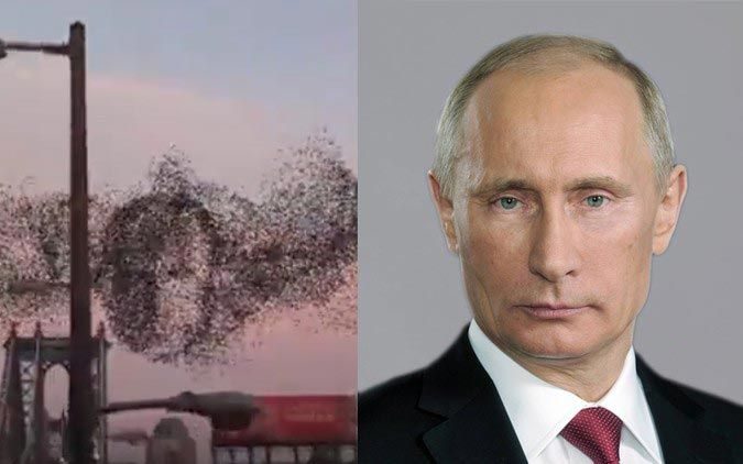Американцы разглядели Путина в небе над Нью-Йорком