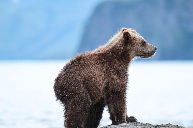 20 лучших фотографий октября от National Geographic