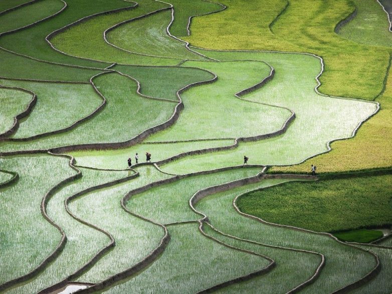 20 лучших фотографий октября от National Geographic