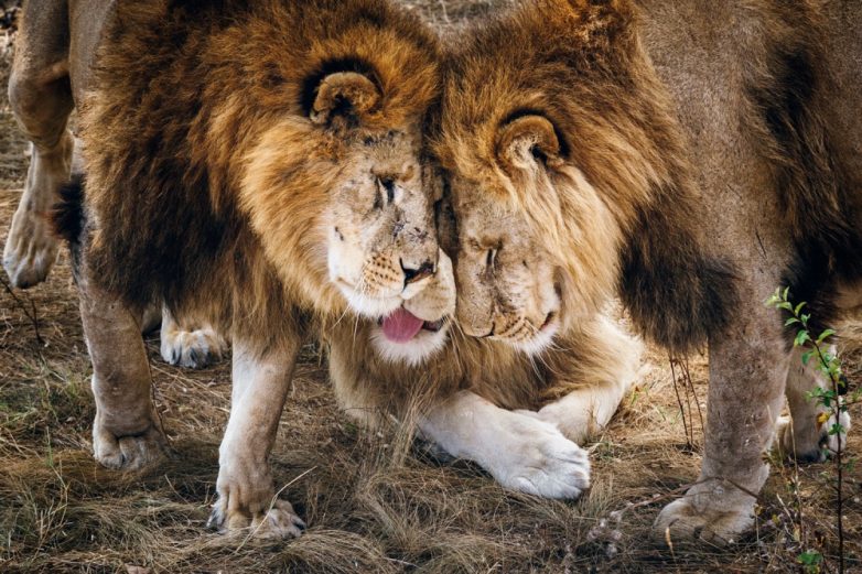 20 лучших фотографий октября от National Geographic