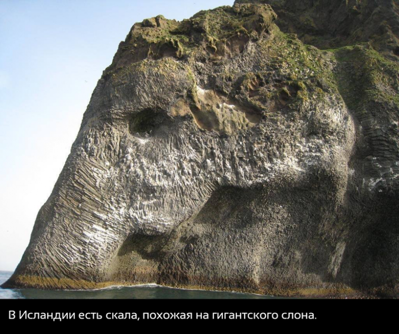 Невероятные факты о нашем мире, которые вас точно удивят