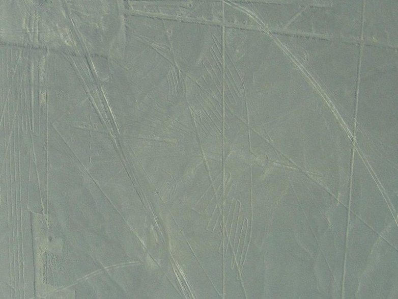 Беспилотник NASA сделал новые снимки загадочных геоглифов Наски