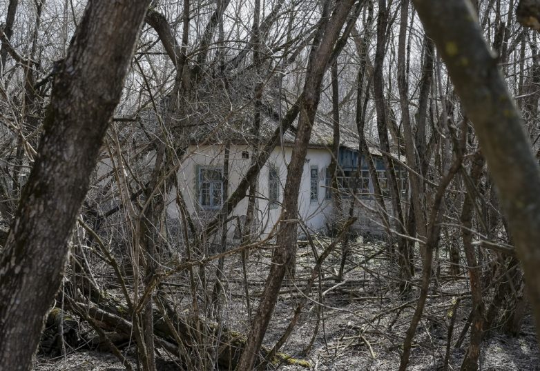 Свежие снимки из Чернобыля