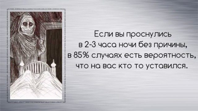 Занятные факты обо всем на свете