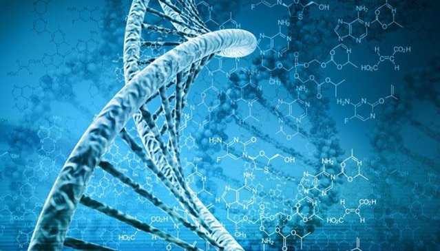 25 удивительных фактов о ДНК, которые помогут лучше понять себя