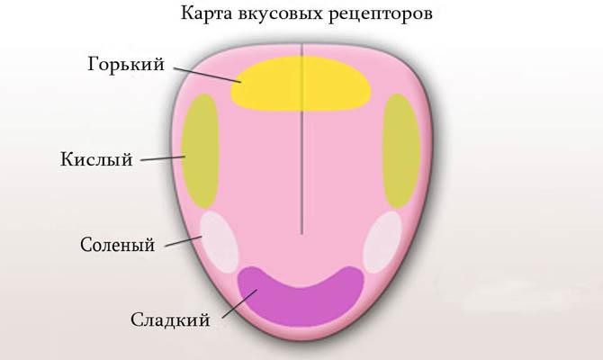 Удивительные факты о человеке